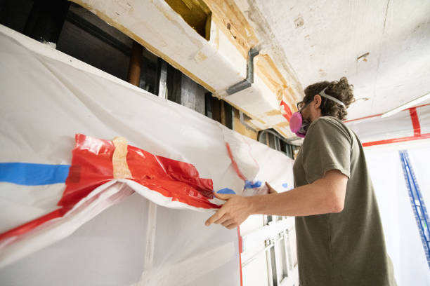 Best Mold Odor Removal Services  in Hillsdale, NJ